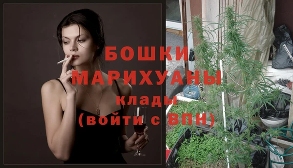 каннабис Аркадак