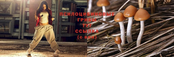 соль ск Няндома